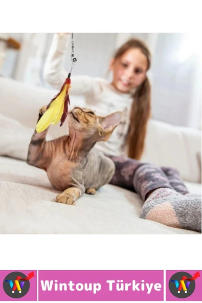 Evcil Hayvan Pet Zihinsel Fiziksel Gelişim İlgi Çeken Eğlenceli Teleskopik Zilli Tüylü Kedi Oyuncağı - Resim 4