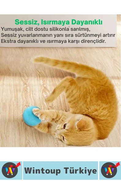Eğlenceli Zararsız Pet Evcil Hayvan Eğitici Kedi Köpek Silikon 3 Modlu Şarjlı İnteraktif Oyun Topu - Resim 4