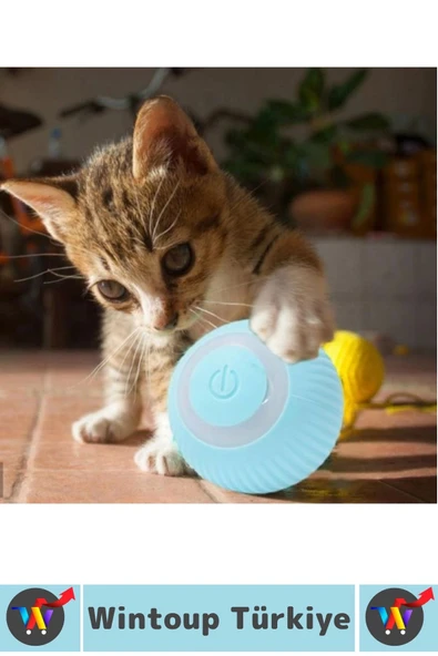 Eğlenceli Zararsız Pet Evcil Hayvan Eğitici Kedi Köpek Silikon 3 Modlu Şarjlı İnteraktif Oyun Topu - Resim 3