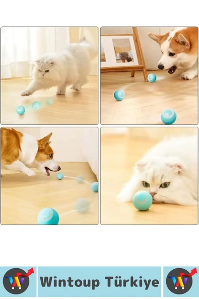 Eğlenceli Zararsız Pet Evcil Hayvan Eğitici Kedi Köpek Silikon 3 Modlu Şarjlı İnteraktif Oyun Topu - Resim 2