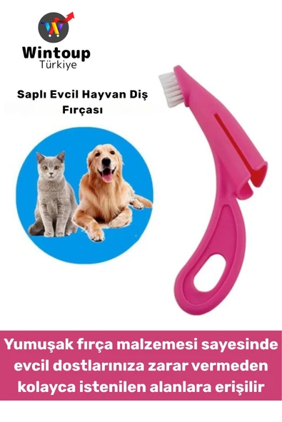 Ergonomik Kolay Tutuş Zararsız Yumuşak Fırça Yavru Kedi Köpek Evcil Hayvan Diş Fırçası