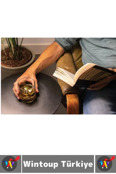 Yıkanabilir Kokteyl İçki Alkol Viski Sulandırmayan Saklama Kutulu Metal Kaplama Buz Taşı 4 Adet - 4