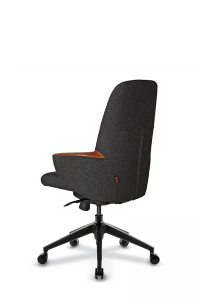 Casella Pol Döşemeli Çalışma Koltuğu | Ofi̇s Koltuğu | Ergonomik, Şık Ve Fonksiyonel - 2