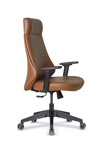 Casella Canvas Döşemeli Yönetici Koltuğu | Ofi̇s Koltuğu | Ergonomik, Şık Ve Fonksiyonel - 10