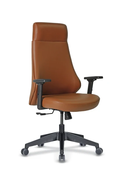 Casella Canvas Döşemeli Yönetici Koltuğu | Ofi̇s Koltuğu | Ergonomik, Şık Ve Fonksiyonel - 9