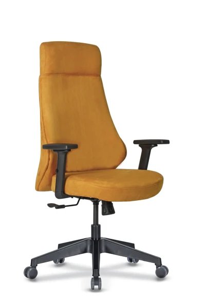 Casella Canvas Döşemeli Yönetici Koltuğu | Ofi̇s Koltuğu | Ergonomik, Şık Ve Fonksiyonel - 4