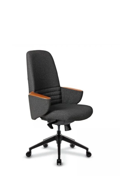 Casella Pol Döşemeli Çalışma Koltuğu | Ofi̇s Koltuğu | Ergonomik, Şık Ve Fonksiyonel