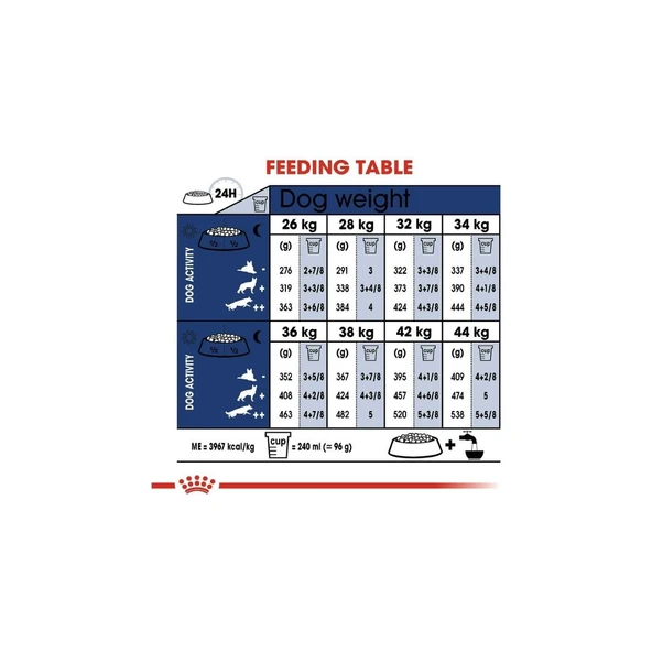 Maxi Adult Kuru Köpek Maması 15 kg - Resim 4