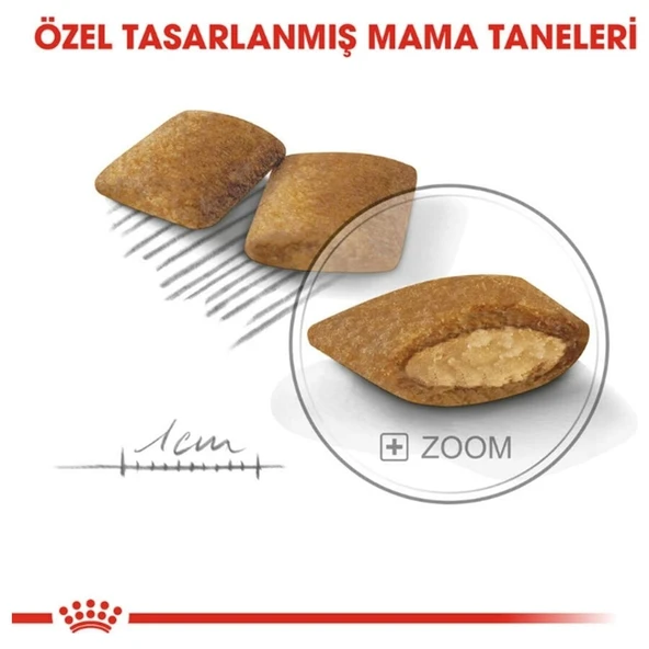 Ccn Mini Exigent Yetişkin Köpek Maması 3 kg - Resim 5