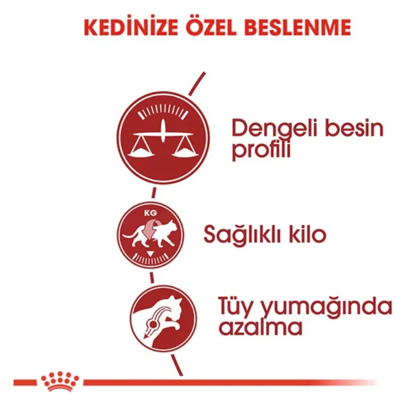 Fit 32 Yetişkin Kedi Maması 15 kg - 3