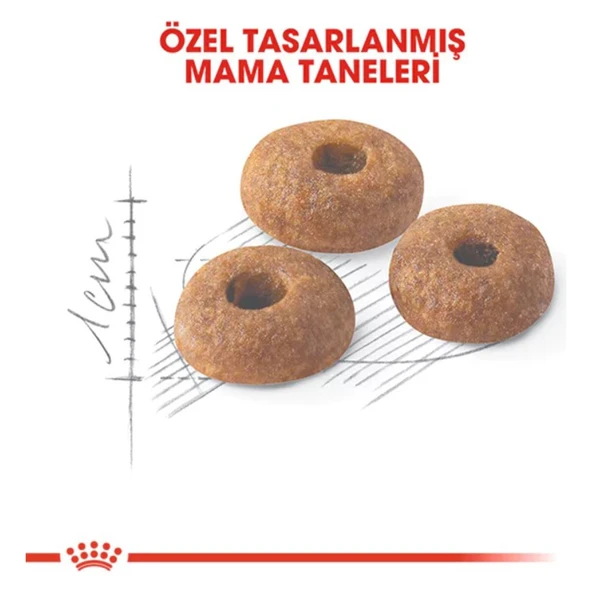 Fit 32 Yetişkin Kedi Maması 15 kg - 4