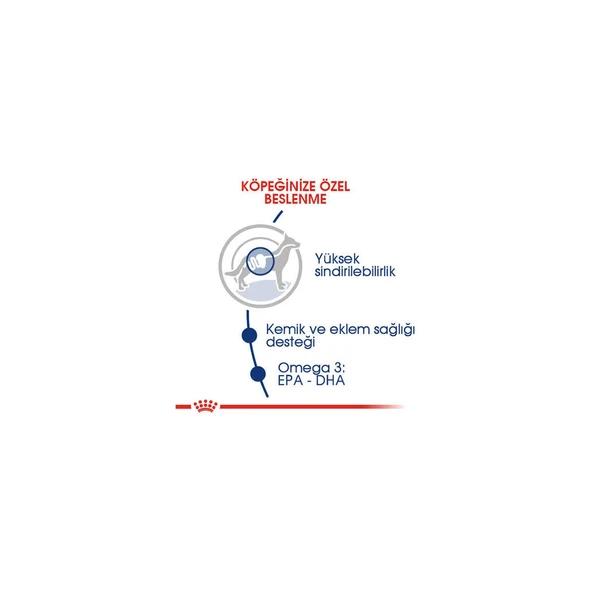 Maxi Adult Büyük Irk Yetişkin Köpek Maması 15 K - Resim 2