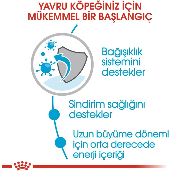 Maxi Puppy Büyük Irk Yavru Köpek Maması 15 kg - Resim 4