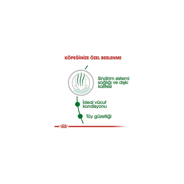 Mini Indoor Adult Yetişkin Köpek Maması 1,5 kg - Resim 2