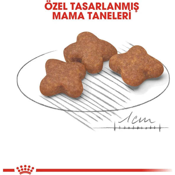 Mini Adult +8 Yaşlı Köpek Maması - 2 kg - Resim 2