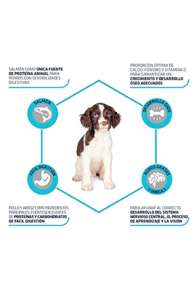 Puppy Sensitive Somon Ve Pirinçli Yavru Köpek Maması 3 Kg - Resim 3