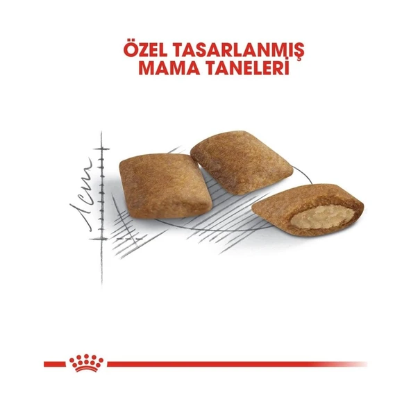 Ageing +12 Yaşlı Kedi Maması 2kg - Resim 3