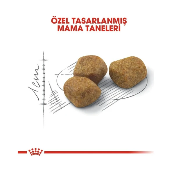 Indoor+7 Yaşlı Kedi Maması 3.5kg - Resim 3