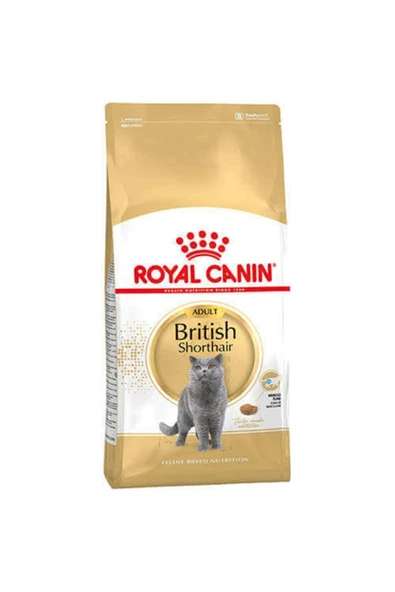 Royal Canin British Shorthair Yetişkin Kedi Maması 10 kg