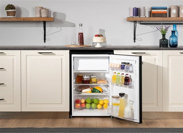 Regal BT 14022 SK 121 LT Mini Buzdolabı - 4