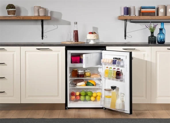 Regal BT 14022 SK 121 LT Mini Buzdolabı - 5