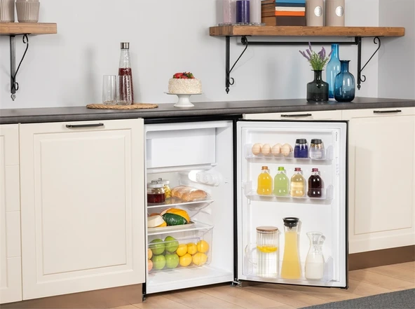 Regal BT 14022 SK 121 LT Mini Buzdolabı - 8