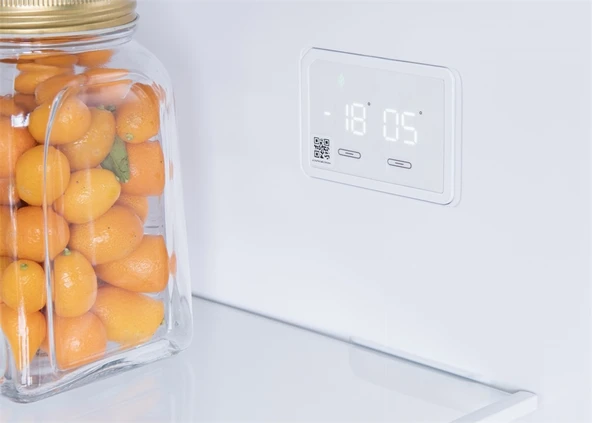 Regal NF 48021 434 LT No-Frost Çift Kapılı Buzdolabı - Resim 6