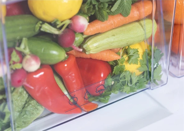 Regal NF 45021 402 LT No-Frost Çift Kapılı Buzdolabı - Resim 8