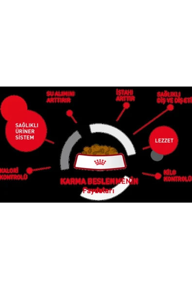 Royal Canın Mother And Babycat Yavru Kedi Maması 2 Kg ürün görseli