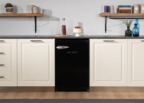 Regal BT 14022 SK 121 LT Mini Buzdolabı - 3