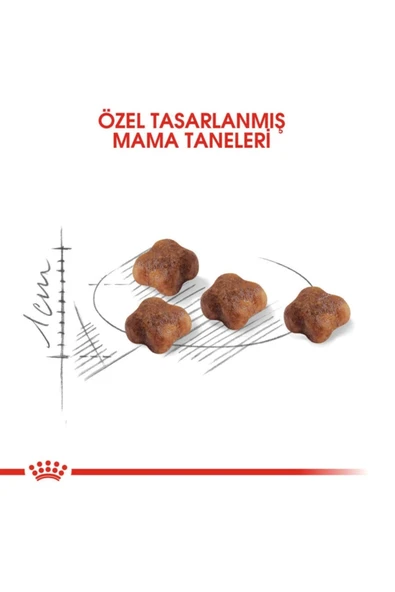 Royal Canin Mother Babycat Yavru Kuru Kedi Maması 4 kg - Resim 3