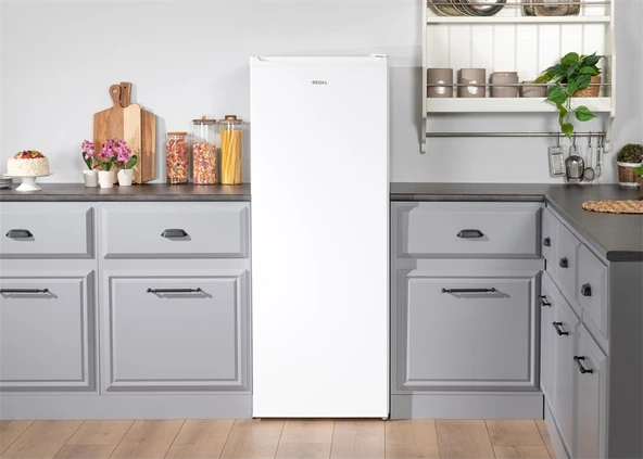 Regal CD NF 62221 174 LT 6 Çekmeceli No-Frost Derin Dondurucu - Resim 4