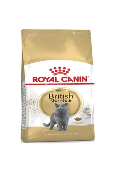 Royal Canin British Shorthair Yetişkin Kedi Maması 10 kg