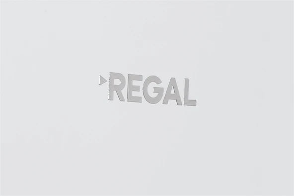 Regal CD 72922 259 LT 7 Çekmeceli Dikey Derin Dondurucu - Resim 7