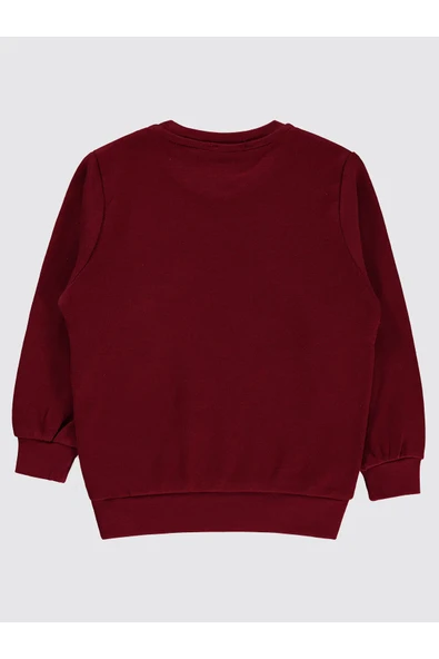 Civil Boys Erkek Çocuk Sweatshirt 2-5 Yaş Bordo - 2