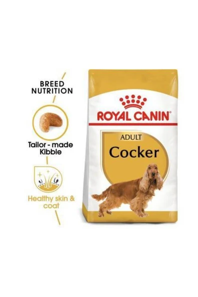 Royal Canin Cocker Irka Özel Yetişkin Köpek Maması 3 kg ürün görseli