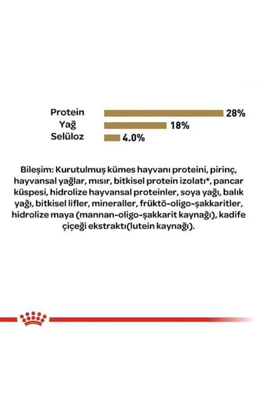 Royal Canin Chihuahua Junior Yavru Köpek Maması 1,5 kg - Resim 3