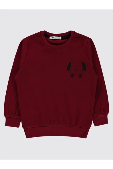 Civil Boys Erkek Çocuk Sweatshirt 2-5 Yaş Bordo - 1
