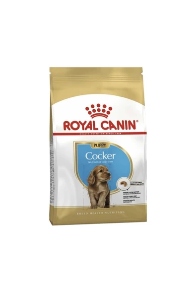 Royal Canin Cocker Junior Yavru Köpek Maması 3 kg ürün görseli