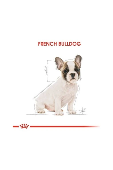 Royal Canin French Bulldog Junior Yavru Köpek Maması 3 kg - Resim 3