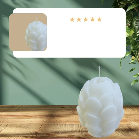 Deniz kabuğu görünümlü kokulu dekoratif doğal mum ürün görseli