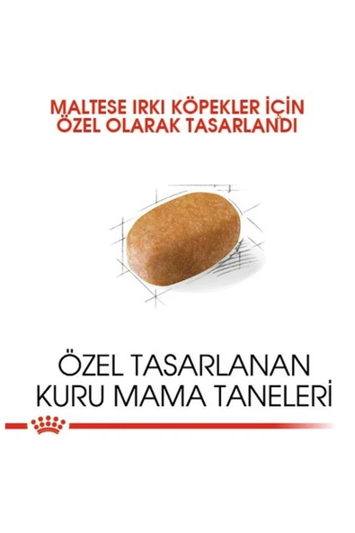 Royal Canin Maltese Bichon Maltais Yetişkin Köpek Maması 1,5 kg ürün görseli