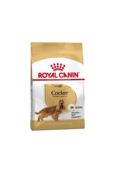Royal Canin Cocker Irka Özel Yetişkin Köpek Maması 3 kg - Resim 2
