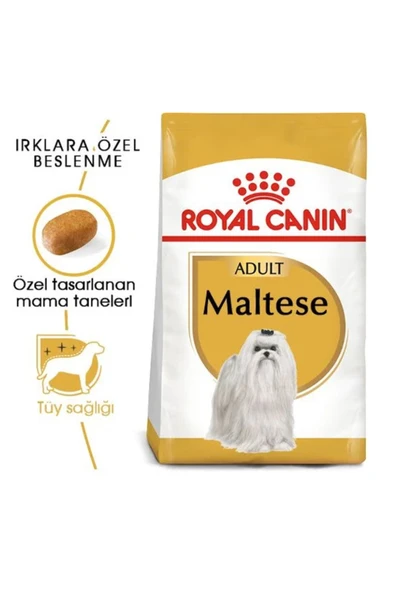 Royal Canin Maltese Bichon Maltais Yetişkin Köpek Maması 1,5 kg - Resim 3