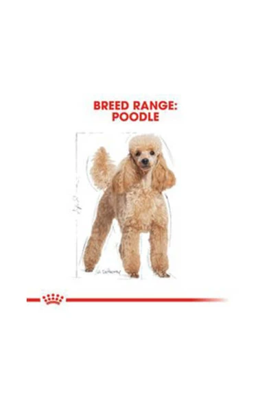 Royal Canin Poodle Adult Yetişkin Köpek Maması 3 kg ürün görseli