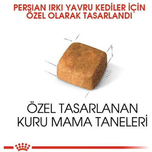 Persian Kitten Kedi Maması - 2 kg - Resim 4