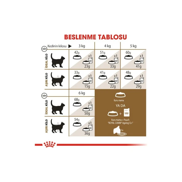 Ageing 12+ Kedi Maması 2 kg - 3