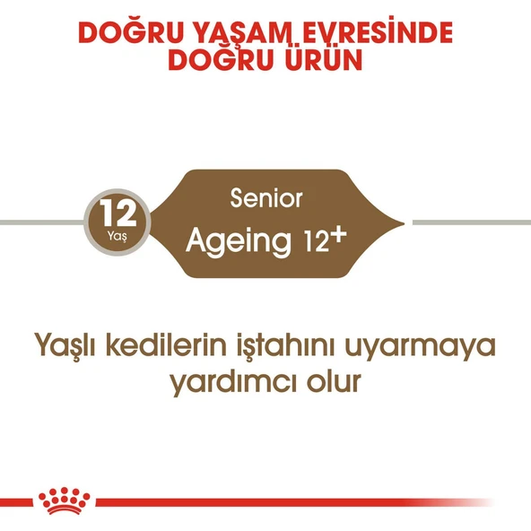 Fhn Ageing +12 Kedi Maması - 2 kg - Resim 2