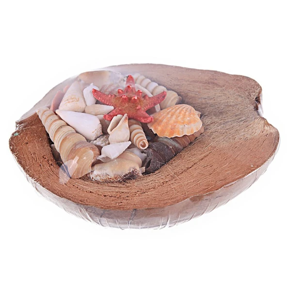 Coco Kabuk Sepeti 18-20 cm Arası - 1