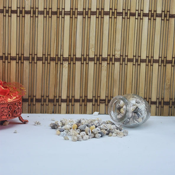 Karışık Minik Kiloluk Deniz Kabuğu (Şişe İçi İçin) 250 Gr - 2